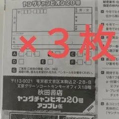 髙野真央　特製クオカード懸賞応募用紙３枚　ヤングチャンピオン