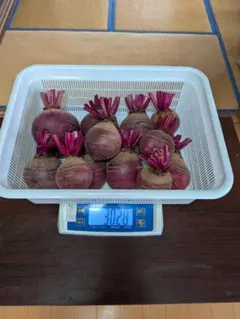 新鮮 ビーツ 赤ビーツ 3kgのサムネイル