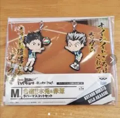 J404)一番くじ ハイキュー!!M賞 合宿!!木兎＆赤葦ラバーマスコットセット