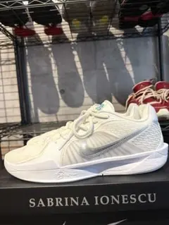 【希少】　交渉OK NIKE サブリナ2 white noise