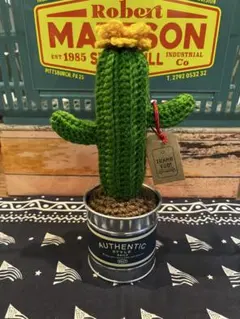毛糸サボテンハンドメイドアメリカン雑貨植物インテリアダルトンニコアンドあみぐるみのサムネイル