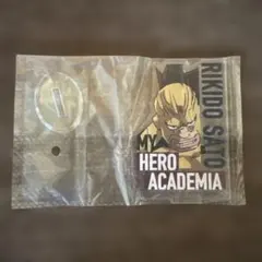 Item thumbnail for item 11ff5c4c-1e47-421a-990a-d9004fc93279