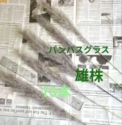 Item thumbnail for item da8542d3-2949-4e4a-8c99-9dd0f126b259