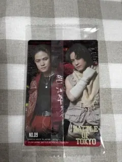 BATTLE OF TOKYO THE RAMPAGE 岩谷翔吾 トレカ