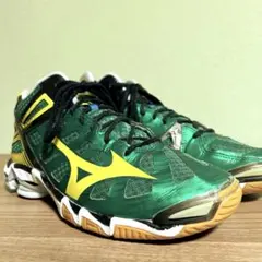 ミズノ　ウェーブライトニングMID　25.0cm　バレーボールシューズ