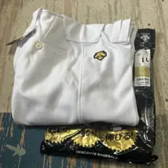 Item thumbnail for item 57df03a5-38b8-4545-be6b-fb7829c3c733