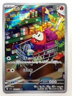 2026年最新】ポケモン ホゲータ arの人気アイテム - メルカリ