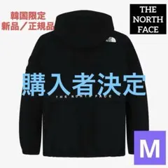 新品　韓国正規品　ノースフェイス　VILAN EX JACKET Mサイズ