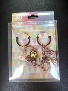 東京ディズニーリゾート 40周年 キーチェーン ペアのサムネイル