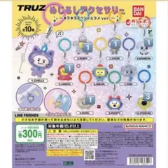 めじるしアクセサリー　TRUZ