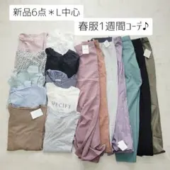 No.4-1＊新品6点＊17点まとめ売り＊Lサイズ中心春服1週間コーデ♪