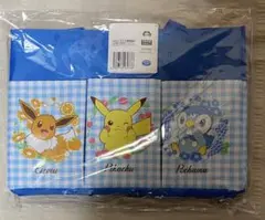 ポケモン ポケット付き収納バッグ