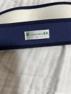 Item thumbnail for item fe89d3f1-4313-4334-9607-f31f85cb1bfd