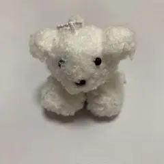 ガチャガチャ　てのひらわんこ ホワイト