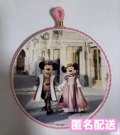 新品タグ付き　なべしき　イマジニングザマジック　ミラコスタ　ディズニー