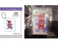 Tempalay the animal kingdom acryle brock