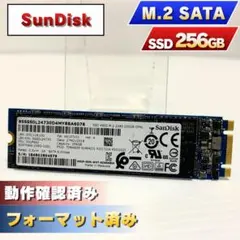 SanDisk M.2 SATA SSD 256GB 本体【0112】
