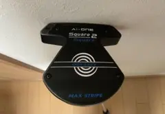 Item thumbnail for item 9ed6bc46-d0a5-4252-95fe-f7f267f2bb80