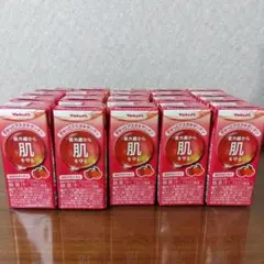 hinai様専用出品