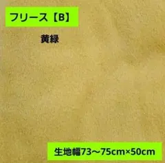 フリース生地【B】グリーン無地 ⭐サイズ①  生地幅73～75cm×50cm
