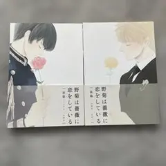 ヘタリア　野菊は薔薇に恋をしている 前編後篇【島国】 同人誌　とうふ