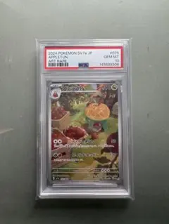 タルップルAR PSA10のサムネイル