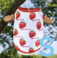 わんちゃん　イチゴ　タンクトップ