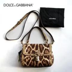 Dolce & Gabbana Leopard Python 2way Bag