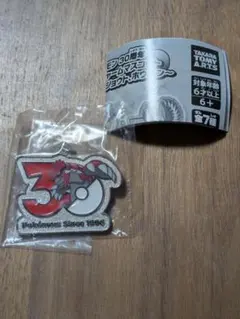 ポケモン 30周年 メタルチャーム グラードン