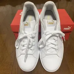 Item thumbnail for item 6d418c44-a7bf-4468-b067-09c036ad8b2f