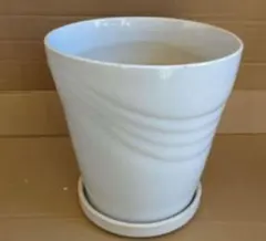 受け皿付き　7号　陶器鉢　観葉植物の鉢