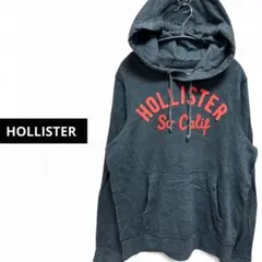 HOLLISTER ホリスター ヴィンテージ ワッペン 刺繍 パーカー M