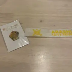 嵐　ワクワク学校　ピンバッジ