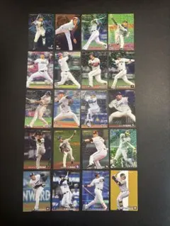 プロ野球チップスカード STARCARD 2018〜2024 20種20枚セット
