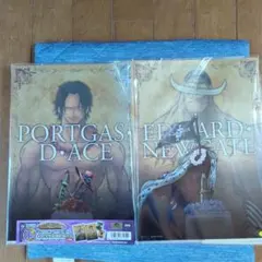 クリアファイル２枚まとめて出品 ゴール・D・ロジャー スペシャルカラーver.