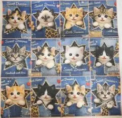 Item thumbnail for item bb494851-9a98-4253-8ddd-83694bb33ced