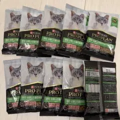 Item thumbnail for item 5b4ac4d7-4107-4d4b-8638-a9ce64cce692