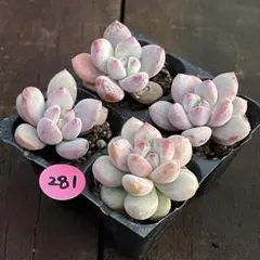 mamachan様 リクエスト 3点 まとめ商品