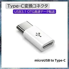 001★Type-C変換アダプタ USB3.1 OTG対応 充電データ転送b31
