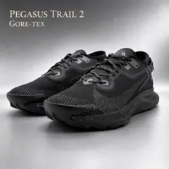2026年最新】ナイキ ペガサス トレイル 2 gore-texの人気アイテム