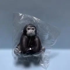 2026年最新】ゴリラのの人気アイテム - メルカリ