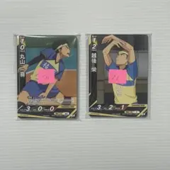 バボカ 椿原学園 27枚まとめ売り