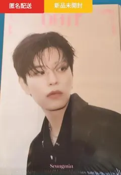 スキズ DO IT アコーディオン スンミンver CD 新品未開封