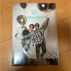 亀と山P クリアファイル