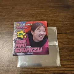 サイン入りプロペラレプリカ 清水愛海選手直筆サイン入り 2026年最新】5163清水愛海の人気アイテム - メルカリ
