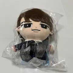 【公式写真おまけ付き】SnowMan 渡辺翔太 すのチル BIGぬい