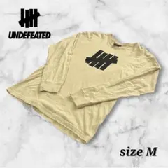 【希少カラー】UNDEFEATED アンディフィーテッド ロンT 5本線ロゴ Mのサムネイル