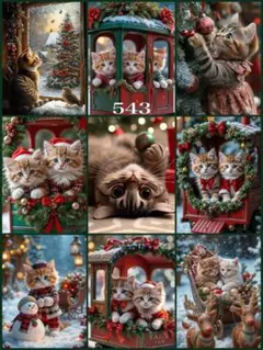 パネル生地　５４３