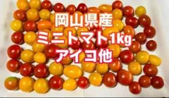 無農薬ミニトマト1kg (箱込み)ネコポスいっぱいのサムネイル