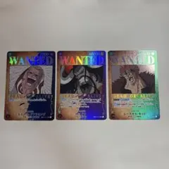2026年最新】wanted カイドウの人気アイテム - メルカリ